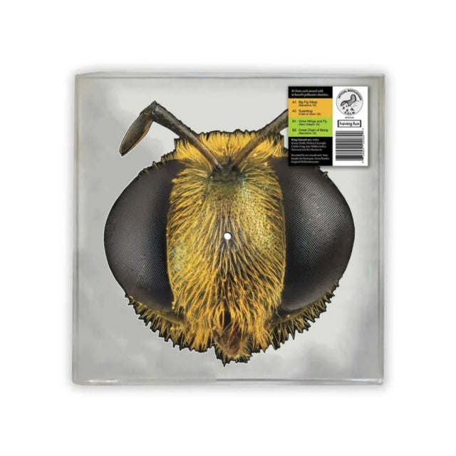 King Gizzard & The Lizard Wizard - Big Fig Wasp (Bug/Bee Shaped Disc) (RSD 2026)
