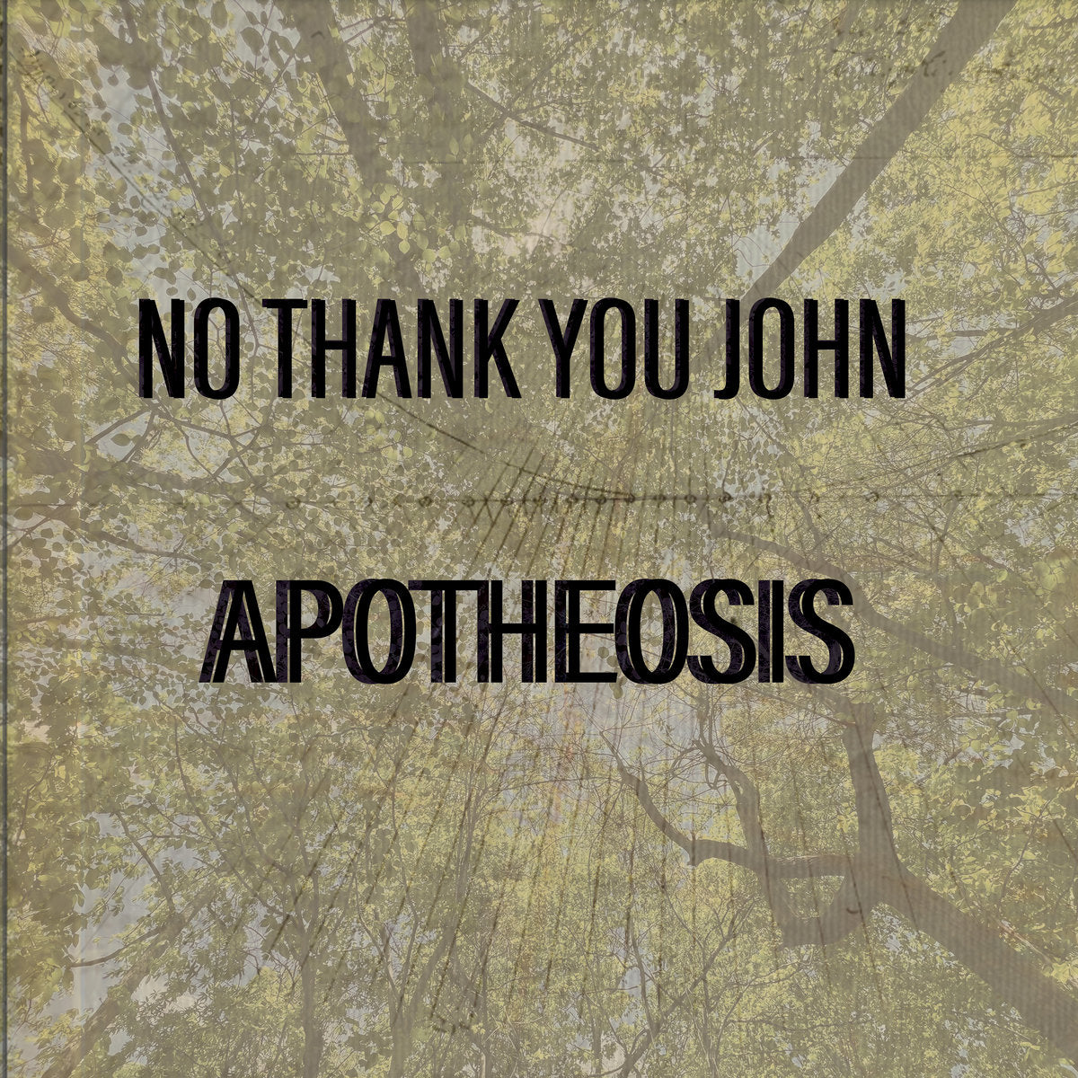 No Thank You John - Apotheosis (Cassette)