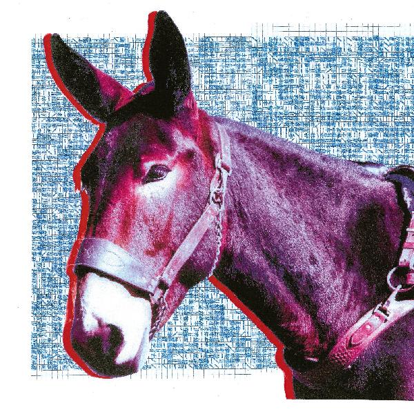 Protomartyr - Ultimate Success today (Poster, Digital Download)