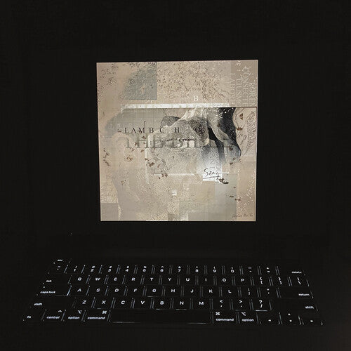 Lambchop - The Bible (Yellow Black Vinyl, Indie Exclusive, Digital Download Card)