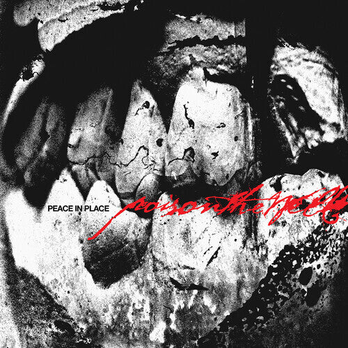 Poison The Well - Rest in Place (CD)