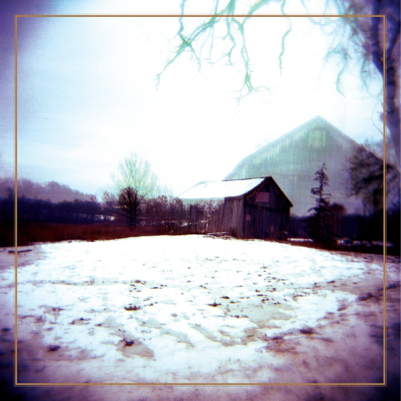 Horse Feathers - House With No Home (Deluxe Reissue, Clear Blue with Streaks Vinyl)