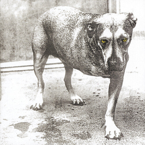 Alice in Chains - Alice In Chains (Yellow Vinyl, Anniversary Edition, Reissue)