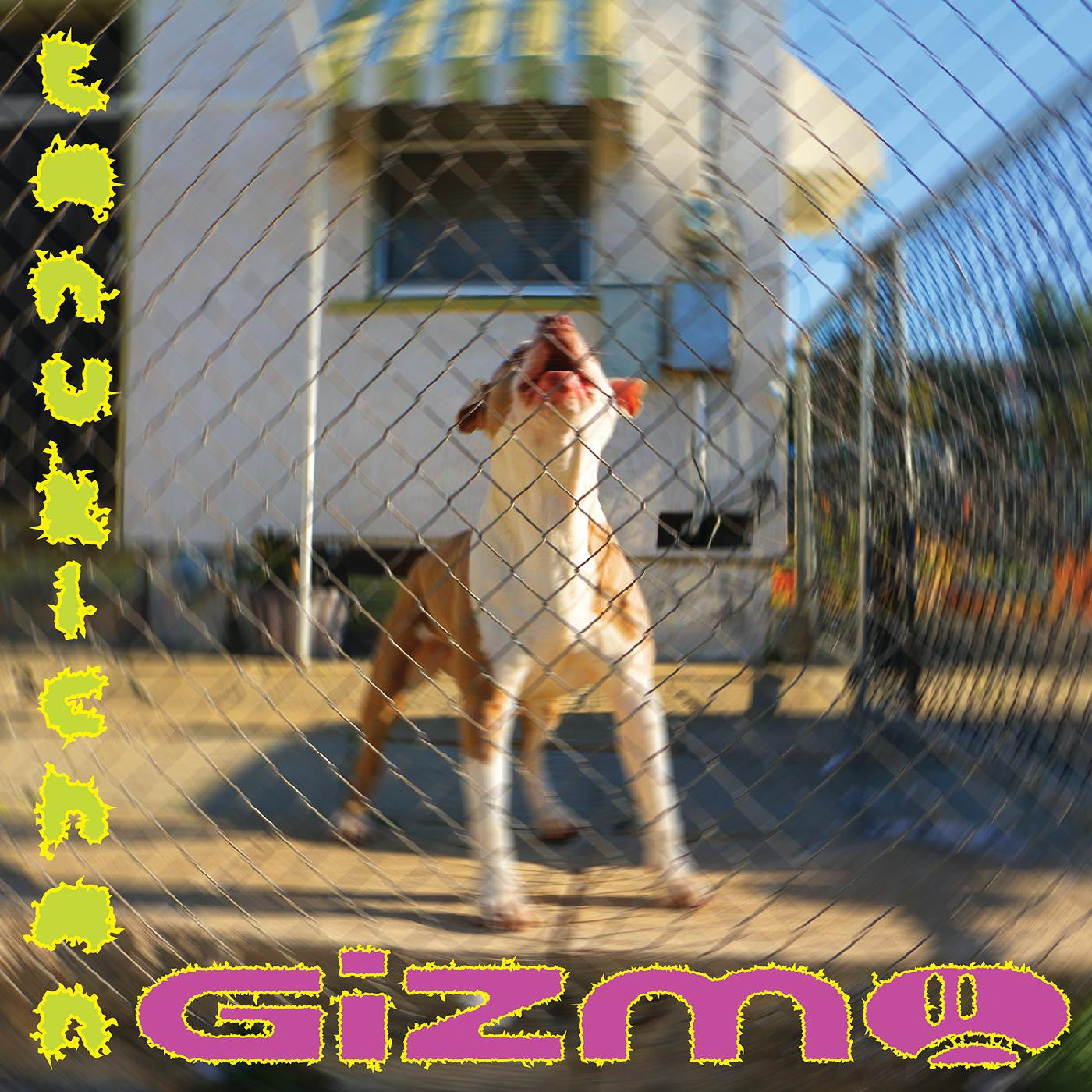 Tanukichan - GIZMO