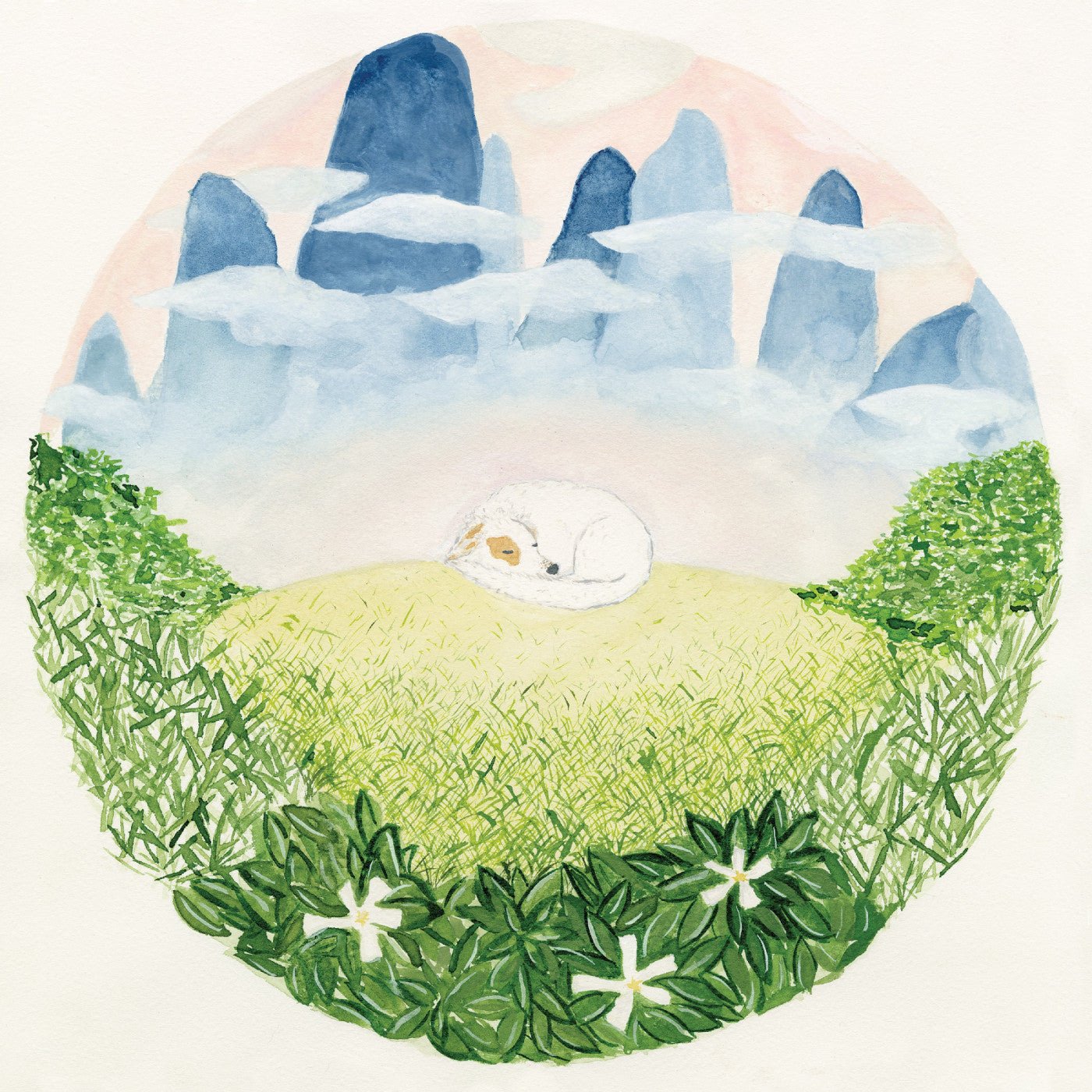 Hackett, Ben - Songs for Sleeping Dogs (CD) - 607396051113 - CD's - Yellow Racket Records