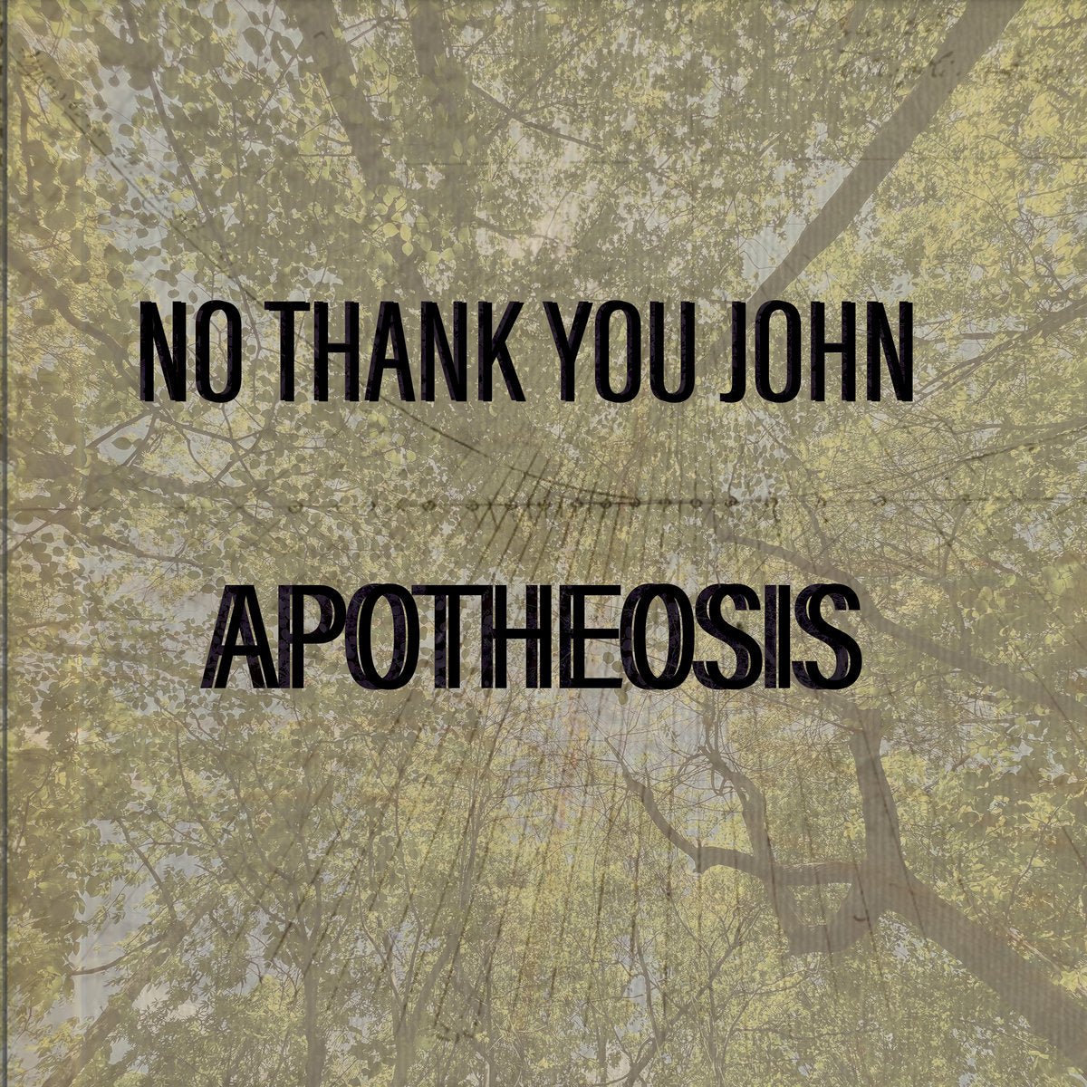 No Thank You John - Apotheosis (Vinyl) - N - No Thank You John - Apotheosis (Vinyl) - Vinyl LP's - Yellow Racket Records