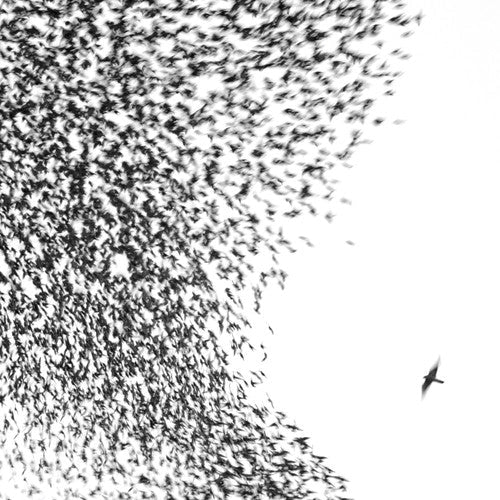 Wilco - Sky Blue Sky (Enhanced) (CD) - 075597998795 - CD's - Yellow Racket Records
