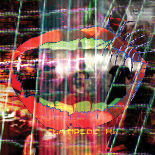 Animal Collective - Centipede Hz (MP3 Download)