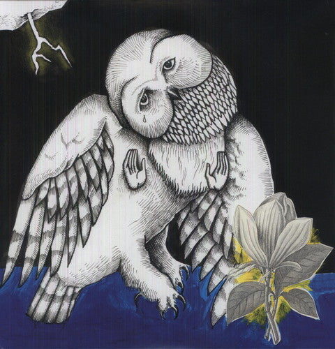 Songs: Ohia - Magnolia Electric Company Co (CD)