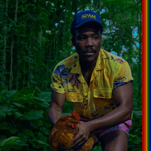 Childish Gambino - Bando Stone And The New World (Gatefold LP Jacket)