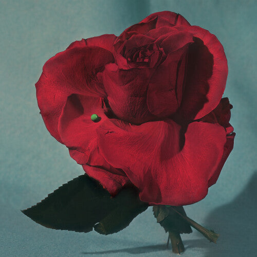 Metz - Up on Gravity Hill (Loser Edition, Clear w/ Red Vinyl)