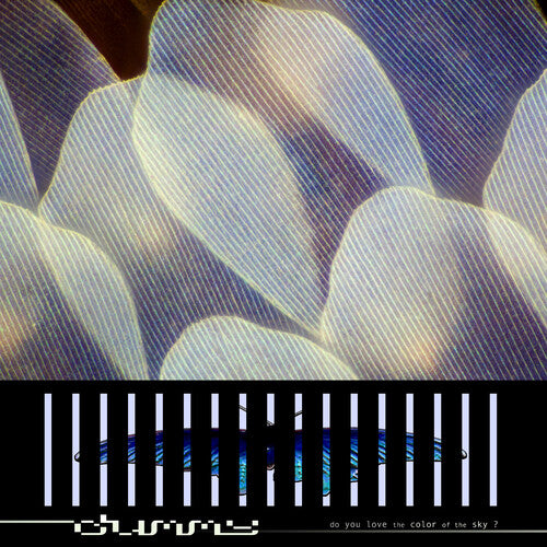 Dummy - Do You Love the Color of the Sky? (CD)