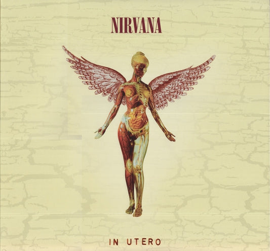 Nirvana - In Utero (20th Anniversary Reissue, Remaster 180 Gram Vinyl, 3 x Vinyl) (Pre-Loved)