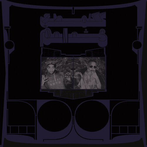 Shabazz Palaces - Exotic Birds of Prey (White)
