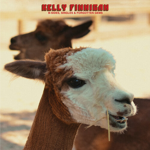 Finnigan, Kelly - B-Sides, Singles & Forgotten Gems (Red Vinyl)