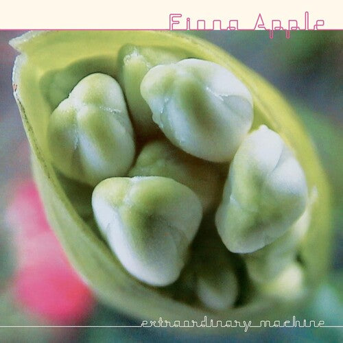 Apple, Fiona - Extraordinary Machine (CD)