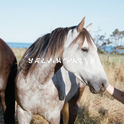 Salvia Palth - Melanchole (CD)