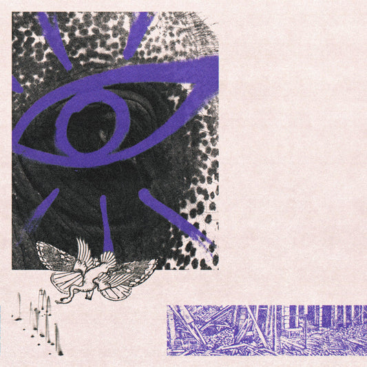 Hippo Campus - LP3 (Clear Vinyl, Purple, 140 Gram Vinyl, Limited Edition, Indie Exclusive)