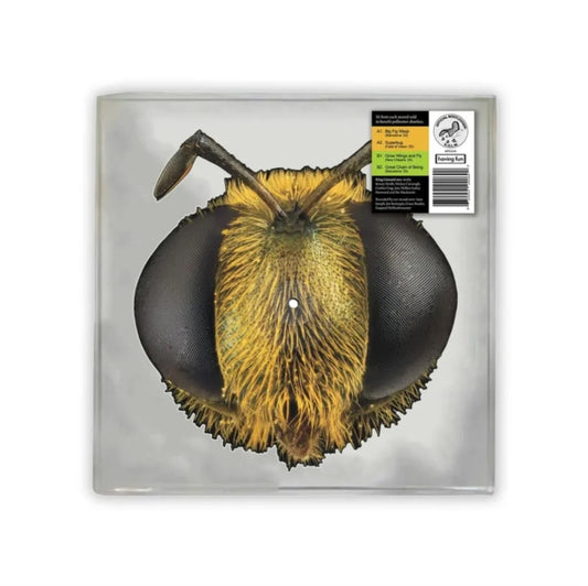 King Gizzard & The Lizard Wizard - Big Fig Wasp (Bug/Bee Shaped Disc) (RSD 2026)