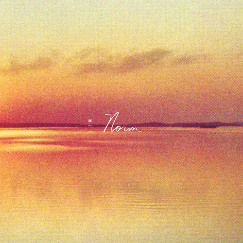 Shauf, Andy - Norm (Indie Exclusive, Gatefold LP Jacket)
