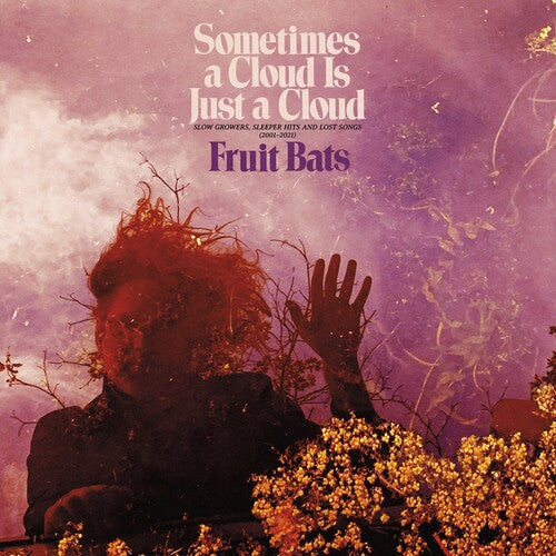 Fruit Bats - Sometimes a Cloud Is Just a Cloud: Slow Growers, Sleeper Hits and Lost Songs (2001-2021)