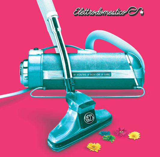 Elettrodomestico ‚Äì If You're A Boy Or A Girl (Pre-Loved)