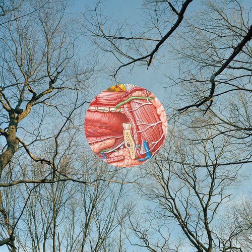 They Might Be Giants - Glean (Clear, Red Vinyl)