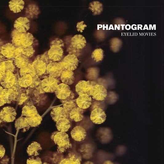 Phantogram - Eyelid Movies (Deluxe Expanded Edition, Black-Swirled Yellow Vinyl)