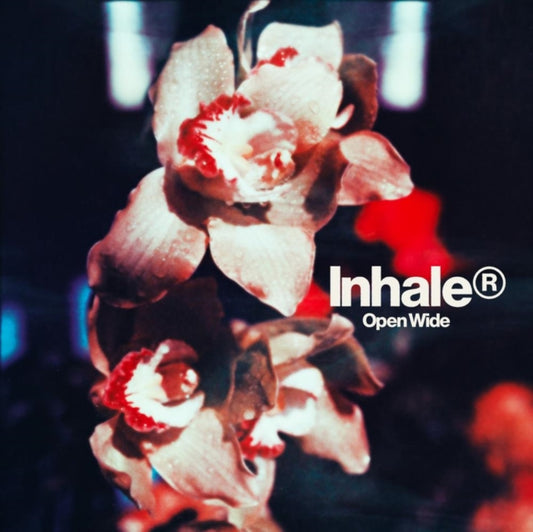 Inhaler - Open Wide (Indie Exclusive, Pink Vinyl)