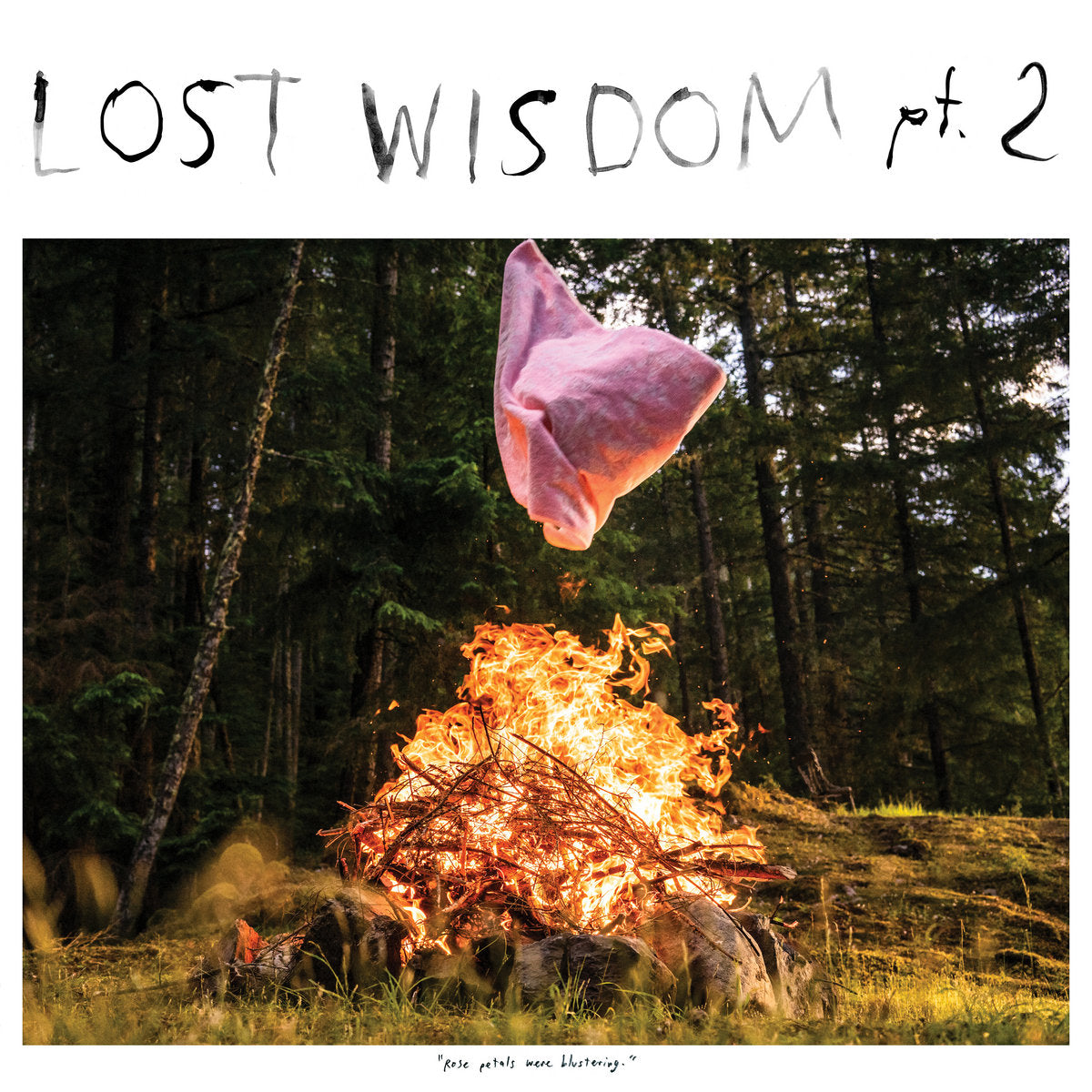 Mount Eerie - Lost Wisdom Pt 2 (w/ Julie Doiron)