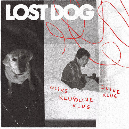 Klug, Olive - Lost Dog