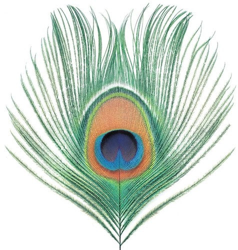 XTC - Apple Venus Vol 1 (UK)
