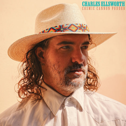 Ellsworth, Charles - Cosmic Cannon Fodder