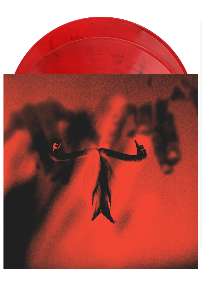 Maxim Mental - Make Team Presents Maxim Mental In Maximalism (Indie Exclusive, Clear Vinyl, Red, Black)