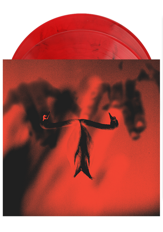 Maxim Mental - Make Team Presents Maxim Mental In Maximalism (Indie Exclusive, Clear Vinyl, Red, Black)