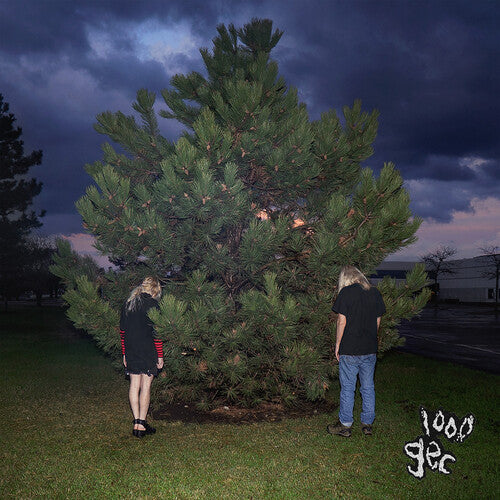 100 gecs - 1000 Gecs (CD)
