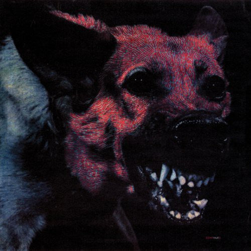 Protomartyr - Under Color of Official Right (Digital Download)