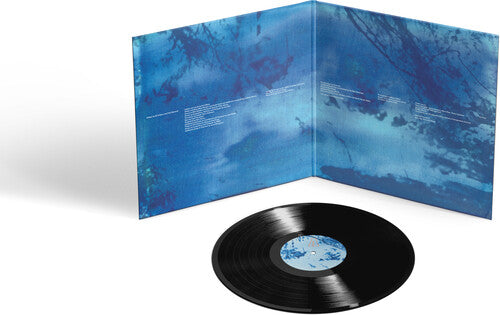 O'Brien, Ed - Blue Morpho