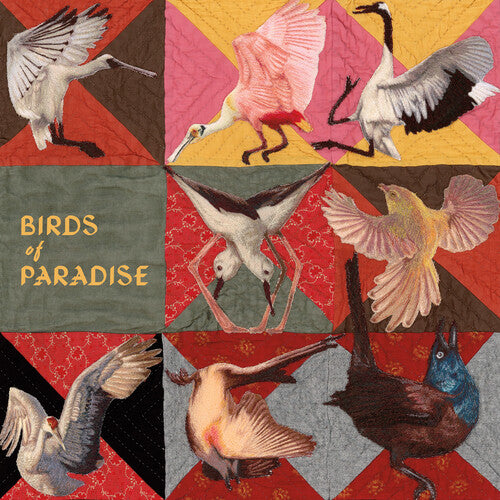 Dollbaum, Thomas - Birds Of Paradise (Pink Vinyl)