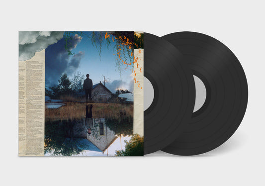 Microphones, The - Microphones in 2020 (2LP)