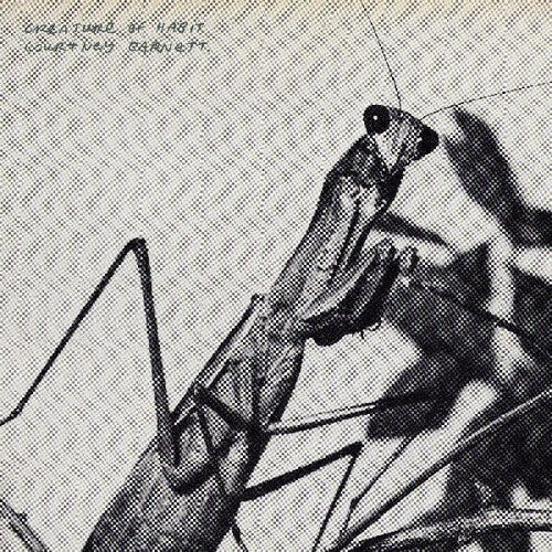 Barnett, Courtney - Creature of Habit (Indie Exclusive, Caramel, 140 Gram Vinyl, Gatefold) - 810090098371 - Vinyl LP's - Yellow Racket Records