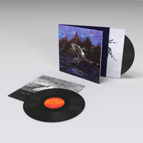 Gray, David - Skellig (Gatefold)