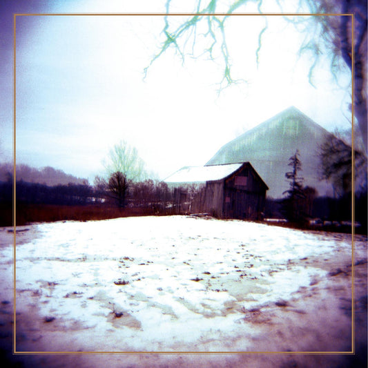 Horse Feathers - House With No Home (Deluxe Reissue, Clear Blue with Streaks Vinyl)