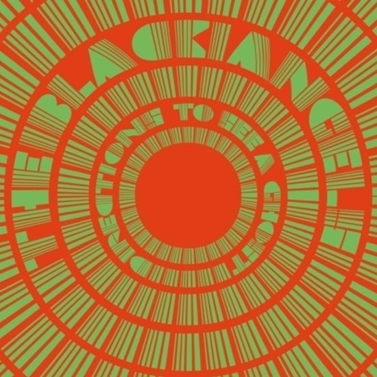 Black Angels, The - Directions To See A Ghost (3LP, Silver Vinyl) - 826853033169 - Vinyl LP's - Yellow Racket Records