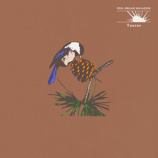 Peel Dream Magazine - Taurus (Yellow Tinted Transparent Cassette)