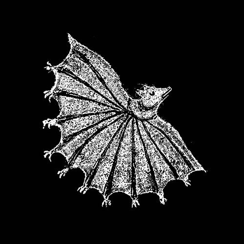 Xiu Xiu - Ignore Grief (Silver, Digital Download Card)