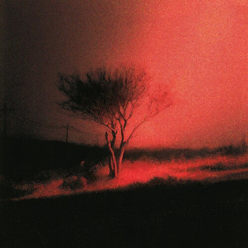 Joji - Piss in the Wind (CD) (LIMIT 1 PER CUSTOMER)