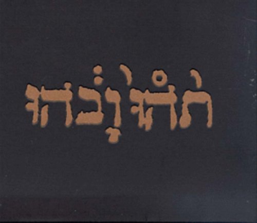 Godspeed You! Black Emperor - Slow Riot for New Zero Kanada (EP)