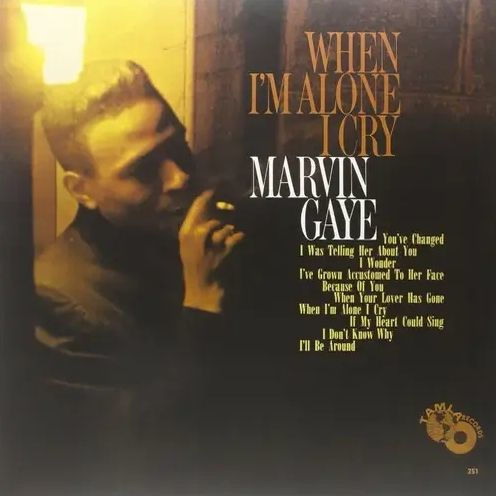 Gaye, Marvin - When I'm Alone I Cry (Mono Edition)