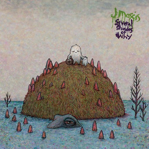 Mascis, J - Several Shades of Why (Black)